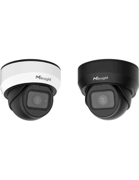 Milesight 2MP Outdoor Vandal-Proof Dome Camera | MS-C2975-FPD