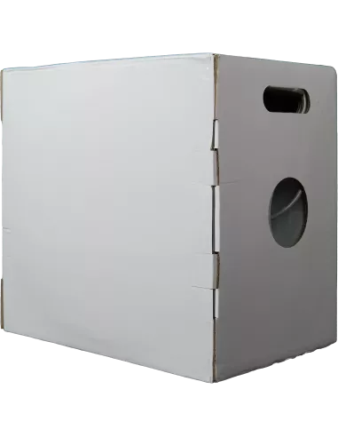 Essential CAT6 Indoor Ethernet Cable 305m Grey Solid Copper UTP Pull Box | CAT6-305-SC-GEN Essential CAT6 Indoor Ethernet Cable 305m Grey Solid Copper UTP Pull Box | CAT6-305-SC-GEN