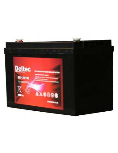 Deltec 12 100Ah AGM Battery