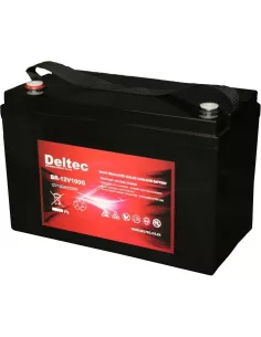 Deltec 12V 100AH Sealed GEL Battery