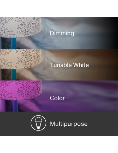 TP-Link KL130 Multicolour Smart WiFi A19 LED Bulb | KL130