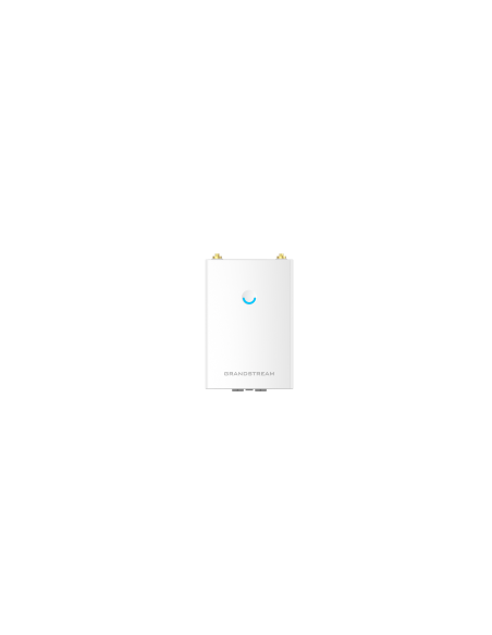 Grandstream Enterprise WiFi 5 Long Range Outdoor AP | GWN7605LR