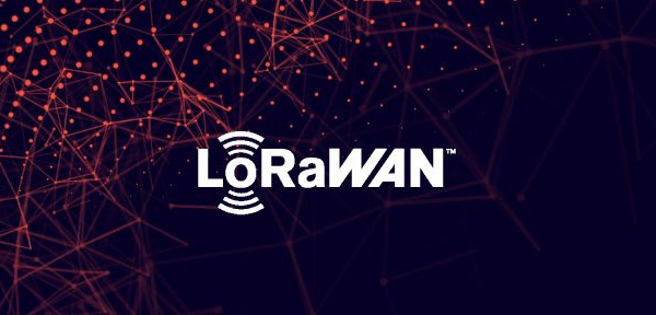 IoT and MikroTik LoRaWAN, expanding the possibilities in agriculture