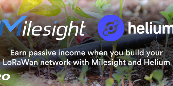 Earn passive income when you build your LoRaWan network with Milesight and Helium 